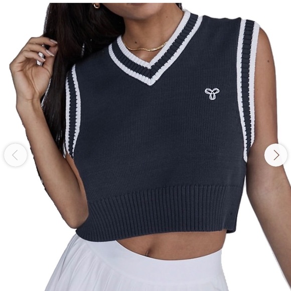 Aritzia Sweaters - TNA Marcy Sweater Vest